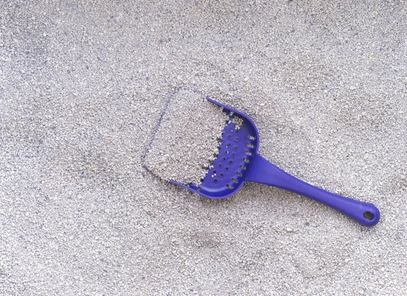 cat litter with scoop close up