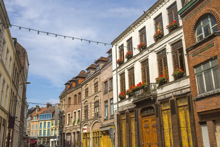 traditional old buildings by street at lille france