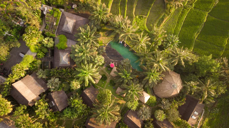 an aerial view of a scenic resort in ubud, bali, indonesia