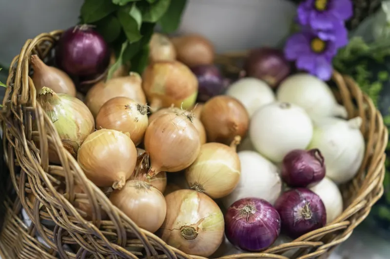 assorted onions of different varieties basket with fresh organic vegetables closeup, live vitamins, selectiv focus farmers market