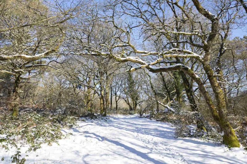 le chaos de toul goulic dans les cotes-d'armor (22) sous la neige le