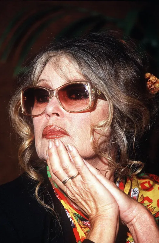 brigitte bardot eurogroup for animal welfare on november 30, 2007 photo by reporters abacapresscom , 664103 001 bruxelles brussels belgique belgium