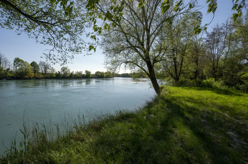 spring landscape around the village of lagnieu on the banks of the rhône river