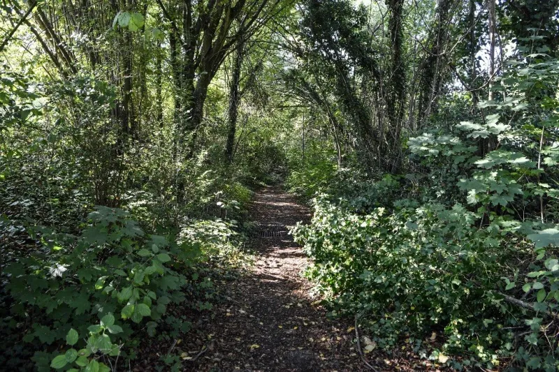 france investigation