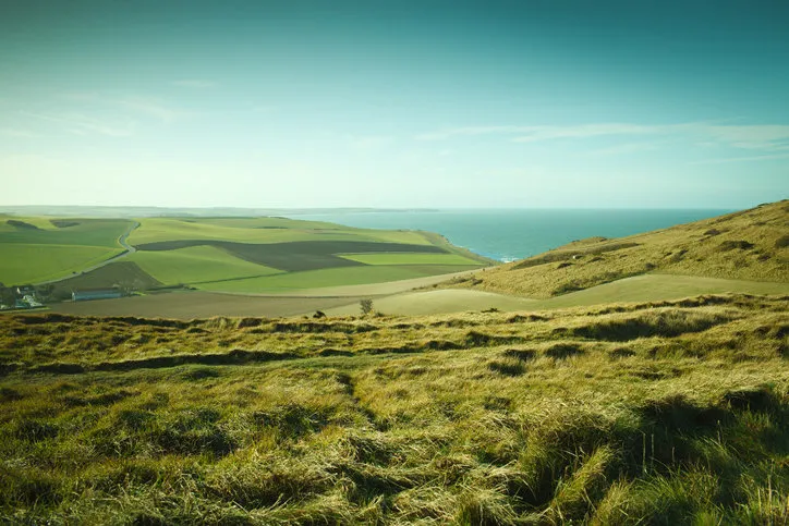 grassy fields on cliffs in northern france