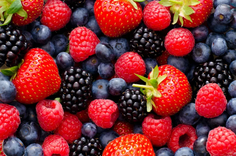 close up   macro photography of wild berry mix - strawberries, blueberries, blackberries and raspberries