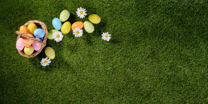 above top view of multi colored painted easter eggs on the green grass with springtime daisy flowers