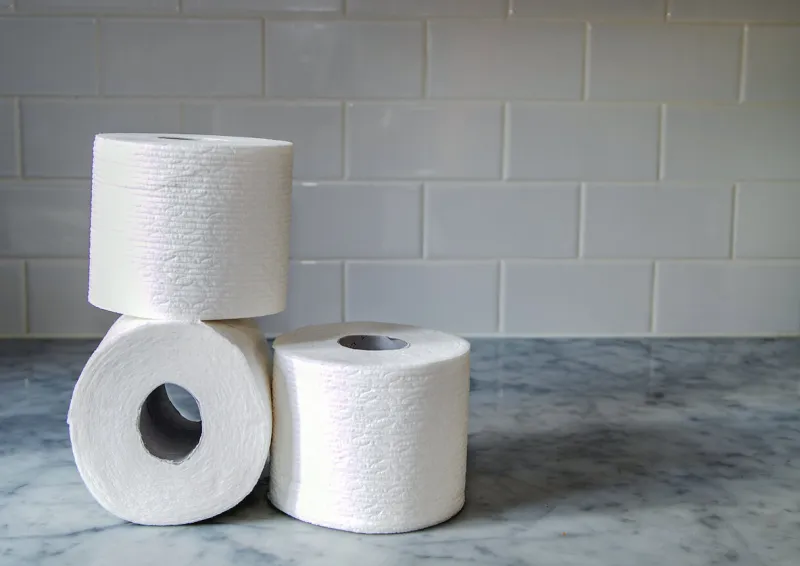rolls of toilet paper