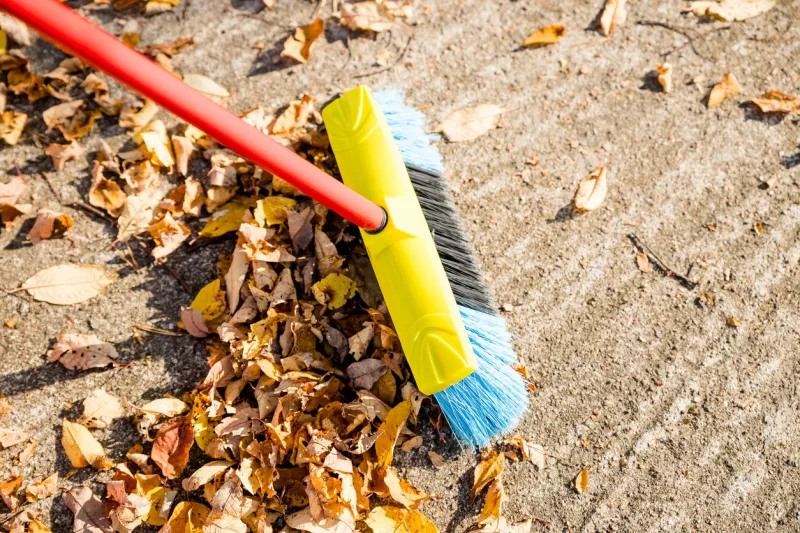 sweeping the fallen leaves from the garden ground for recycling during autumn fall seasonman brooming the street to collect dry fallen leaves