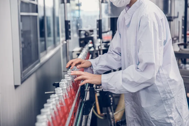 food and drink industry staff worker working at conveyor belt production line machine in beverage factory with clean and hygiene area