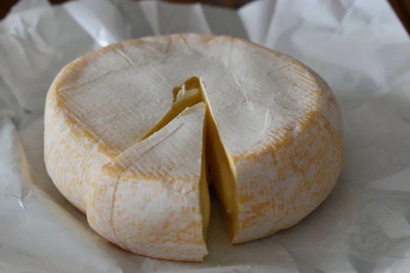 close-up picture of cheese, cultural product in the french gastronomy sometimes smelly but always very tasty