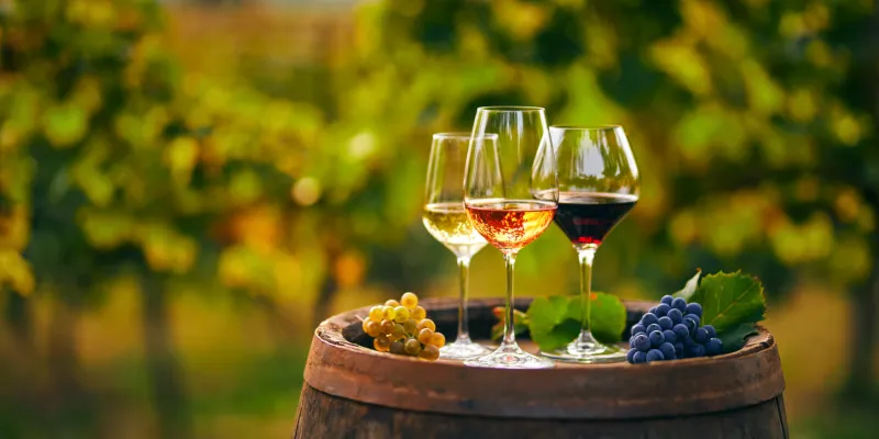 three glasses with white, rose and red wine on a wooden barrel in the vineyard wide photo