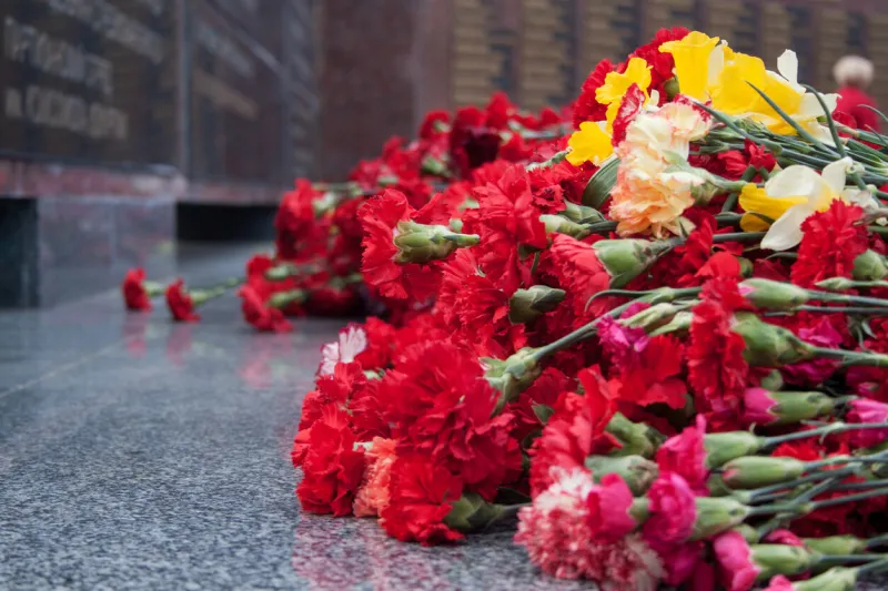 red carnation flowers at the memorial to fallen soldiers in the world war ii victory in europe day