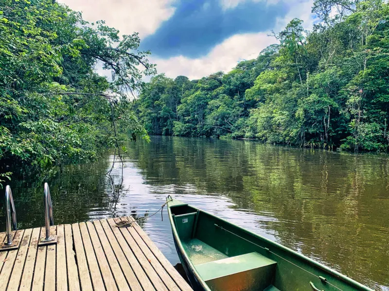 roura, french guiana - april 15, 2021 view of a river from the amazon forest in the middle of the amazon forest in the foreground, a wooden boarding pontoon and part of a boat are visible in the background, the river and the forest are visible