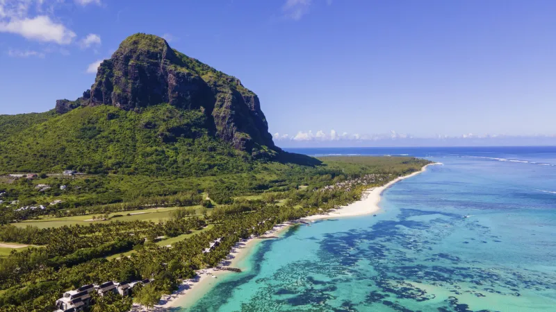 le morne beach mauritius tropical beach with palm trees and white sand blue ocean and beach beds with umbrellas, sun chairs, and parasols under a palm tree at a tropical beach mauritius le morne beach