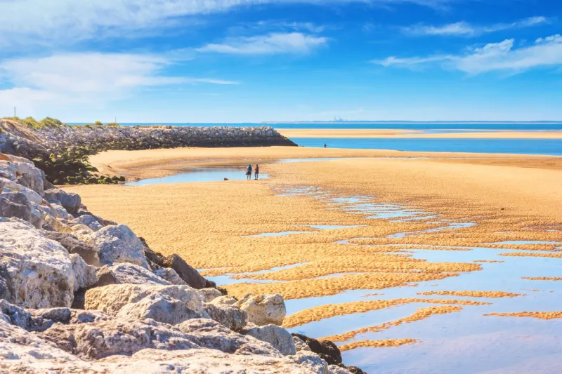 coastal landscape - view of the atlantic coast at low tide near the town of la palmyre, the nouvelle-aquitaine region, in the south-west of france