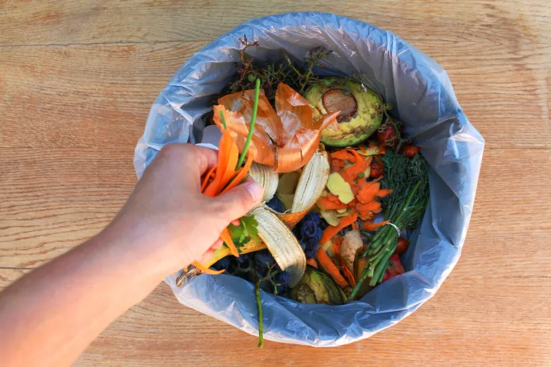 domestic waste for compost from fruits and vegetables woman throws garbage