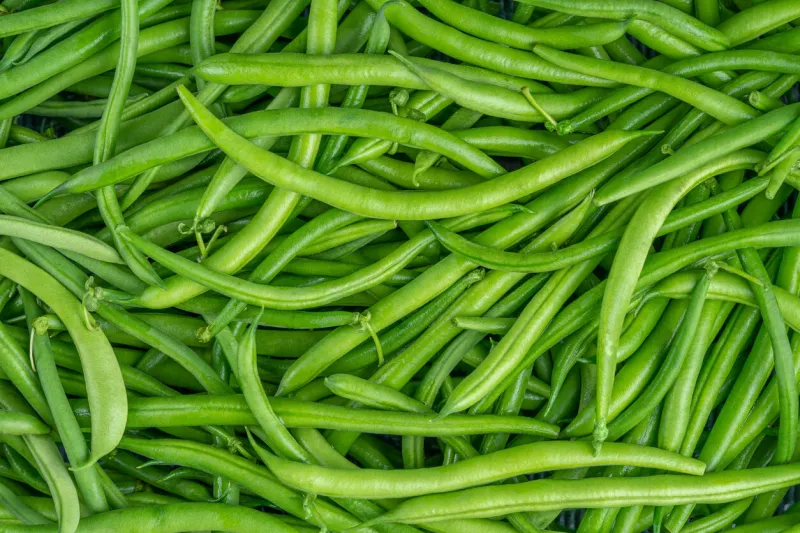 fresh green bean pods texture close up, top view high quality photo