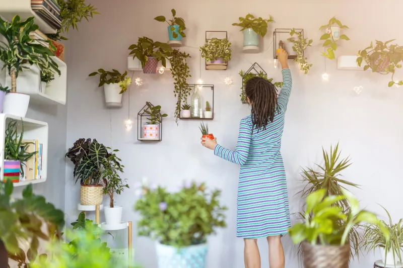 young woman taking care of her potted plants at home