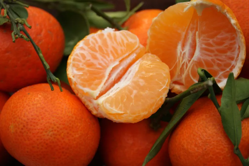 mandarines of corsica