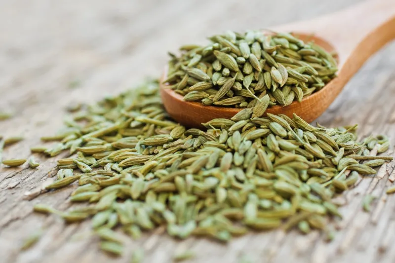 green anise in a wooden spoon closeup