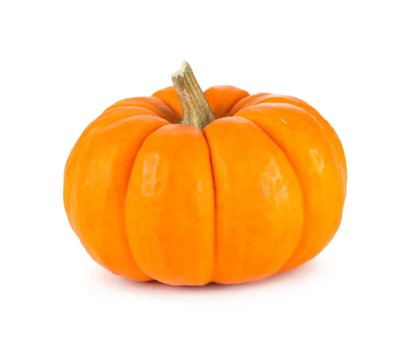 mini orange pumpkin isolated on a white background