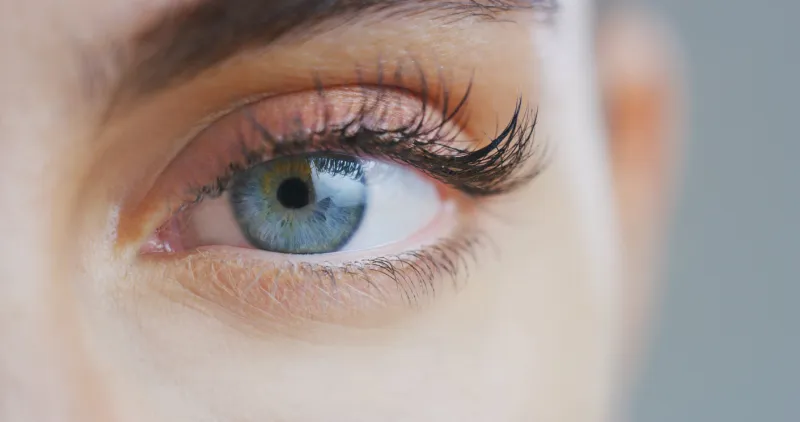 macro close up of beautiful female blue eye with perfect natural makeup looking in camera