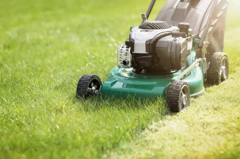 mowing or cutting the long grass with a green lawn mower in the summer sun