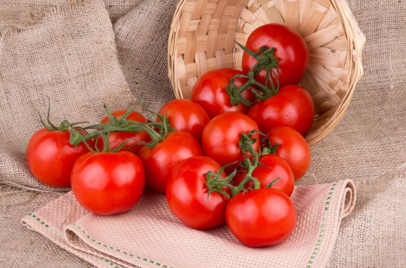 tomatoes in basket