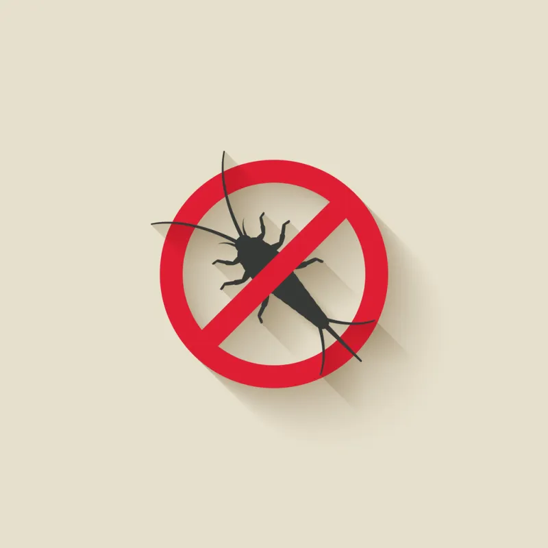 silverfish silhouette pest icon stop sign vector illustration