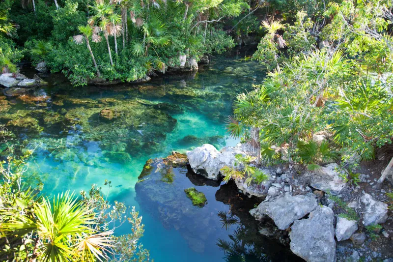 cénote avec une belle eau turquoise pour la plongée au xel-ha, cancun
