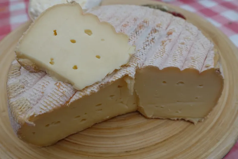 saint-nectaire cow's milk cheese cheese produced in france at mont d'or puy-de-dôme