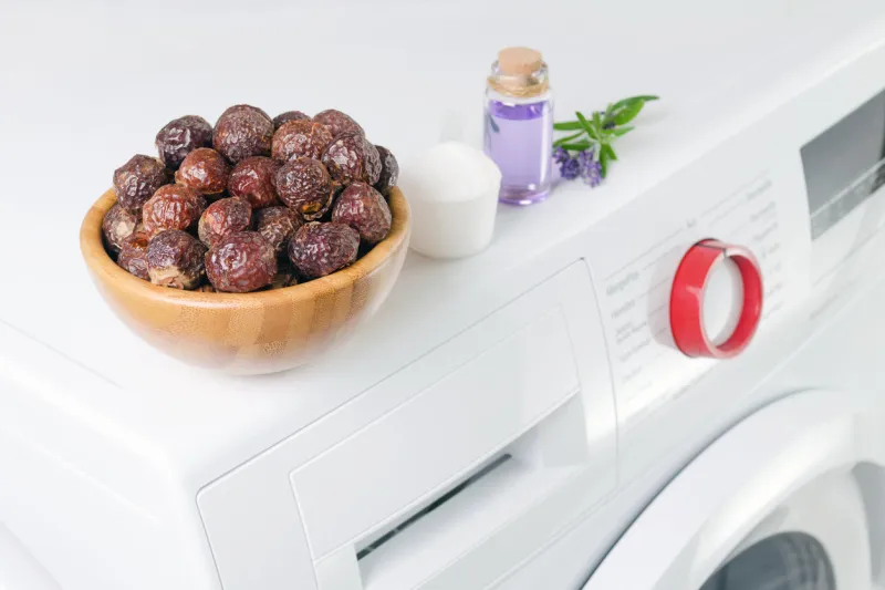 soap nuts in a bowl on the washing machine and lavender oil, detergent powder, selective focus