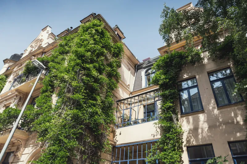 green façade in the oststadt of hanover, lower saxony