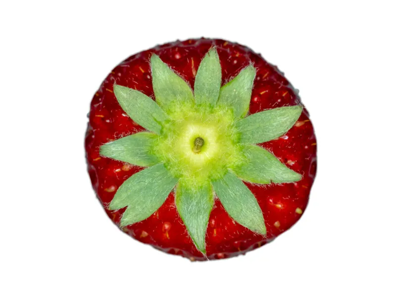 a top view of natural strawberry with white background not edited its shape, so it has hairs on the surface