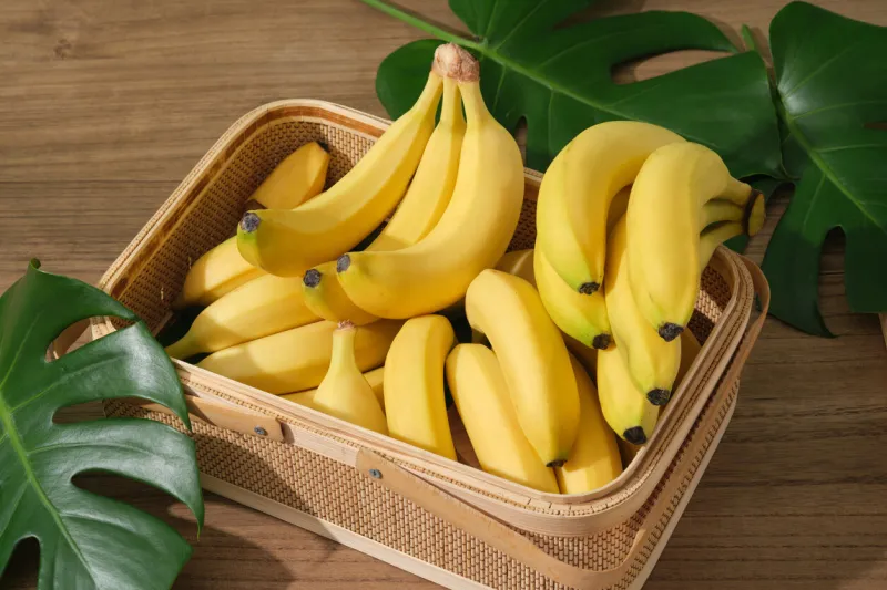 bananas are arranged inside a bamboo basket decorated with some fresh green leaves banana (musaceae) will protect the body from damage caused by the oxidation of free radicals