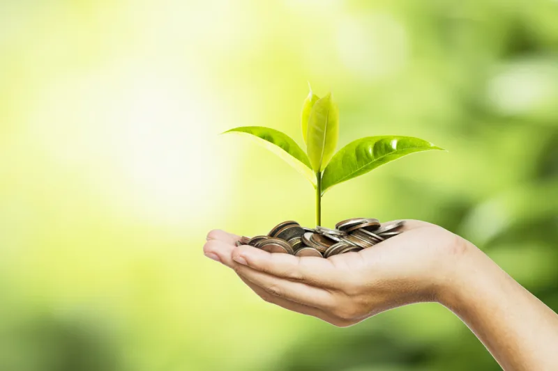 man hand holding coins and tree look like as planting on greenery background and sunlight for plantinggrowth saving and investment concept