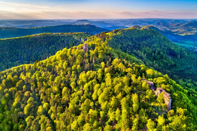chateau de loewenstein, a ruined castle in the northern vosges mountains - bas-rhin, alsace, france