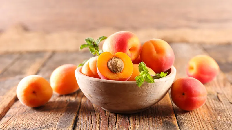fresh apricot and leaf- summer fruit