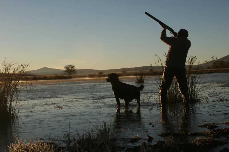 un chasseur de canard et son chien de chasse