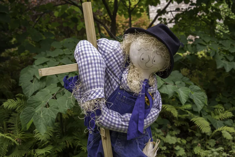 garden scarecrow dressed in blue denim