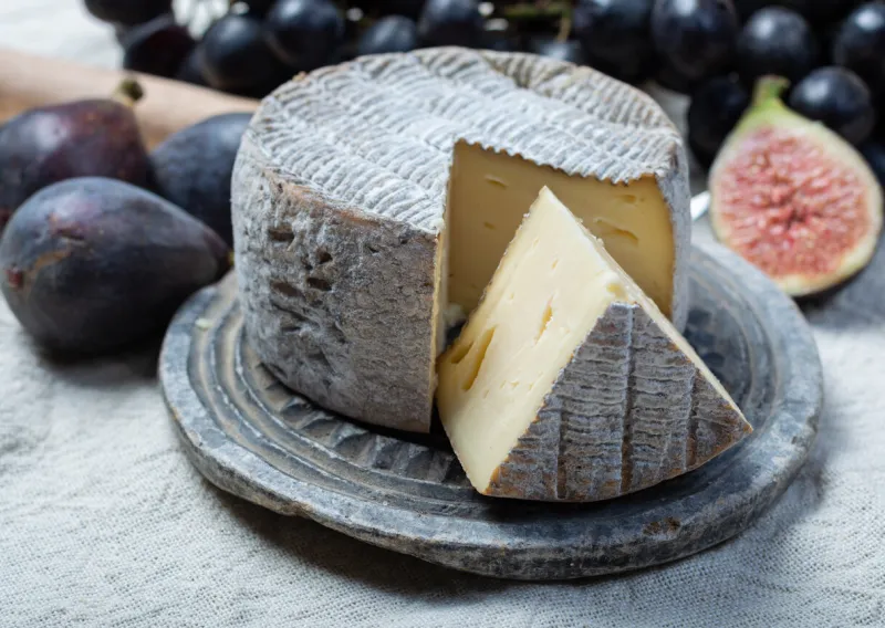 round mature french tomme cheese with one cutted piece served with black grape and fresh ripe figs close up