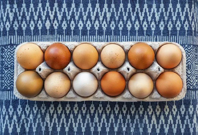 colorful organic eggs from pasture raised chicken