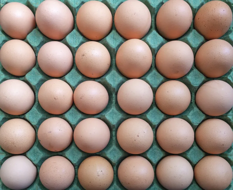 box of chicken eggs