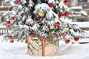 Sapin de Noël enneigé