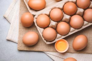 Pénurie d’œufs : où s’approvisionner hors grandes surfaces ? 