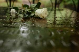 Crans-Montana : la famille de Cyane dénonce toute relation « familiale » avec les Moretti