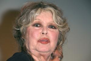 « Raciste ! » : scène tendue lors de l’hommage à Brigitte Bardot aux César