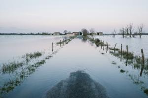 Vue d'un marais charentais ou d'un estuaire inondé par la conjonction des grandes marées et des crue