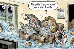 Dans le style dessin de presse sarcastique, représente des saumons et truites assis sur le canapé d'